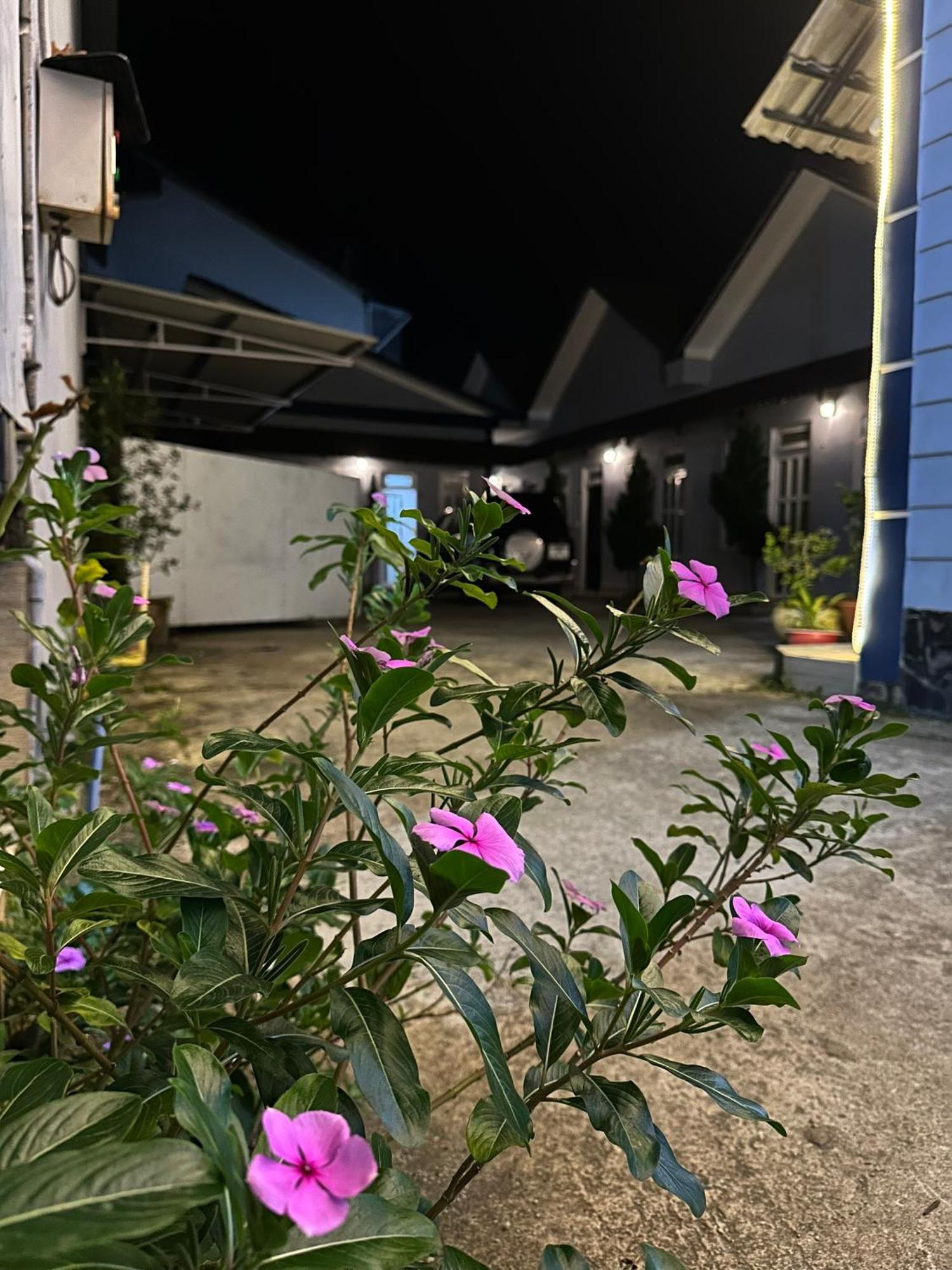Motel Khanh Vy 保禄 外观 照片